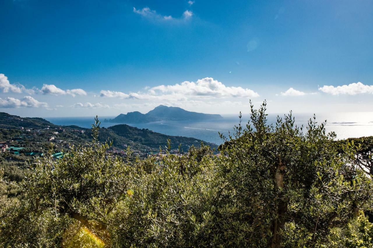 Villa Bellatrix Massa Lubrense Bagian luar foto